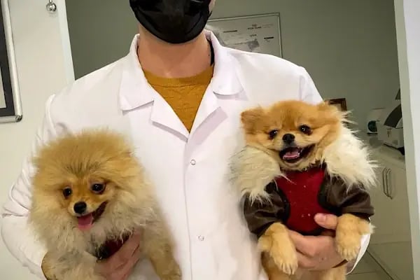 Vet Time Veteriner Kliniği - Resim 9