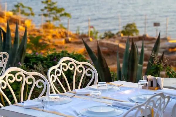 Sauvignon Restaurant - Resim 2