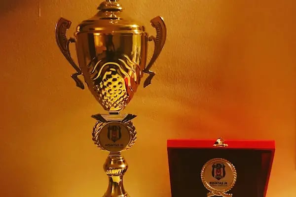 BJK ATAŞEHİR FUTBOL OKULU - Resim 10