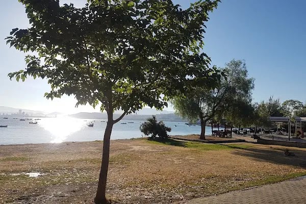 İzmir Büyükşehir Belediyesi İnciraltı Engelliler Kafeteryası - Resim 13