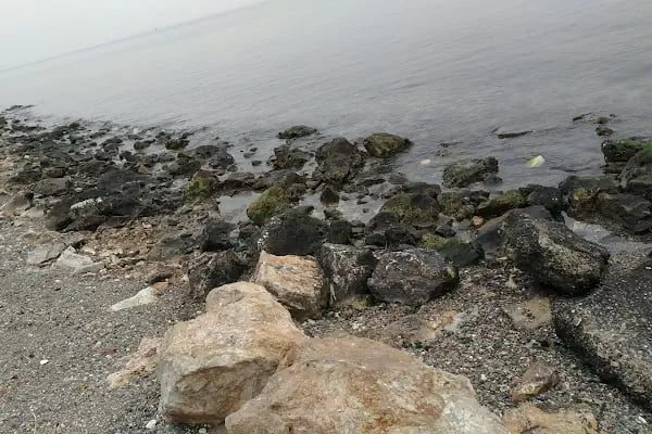 İzmir Büyükşehir Belediyesi İnciraltı Engelliler Kafeteryası - Resim 5