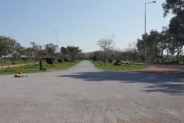 İzmir Büyükşehir Belediyesi İnciraltı Engelliler Kafeteryası - Resim 17
