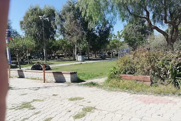 İzmir Büyükşehir Belediyesi İnciraltı Engelliler Kafeteryası - Resim 19