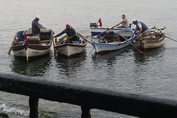 İzmir Büyükşehir Belediyesi İnciraltı Engelliler Kafeteryası - Resim 11