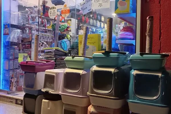 Gümüşpala Petshop Avcılar istanbul - Resim 7