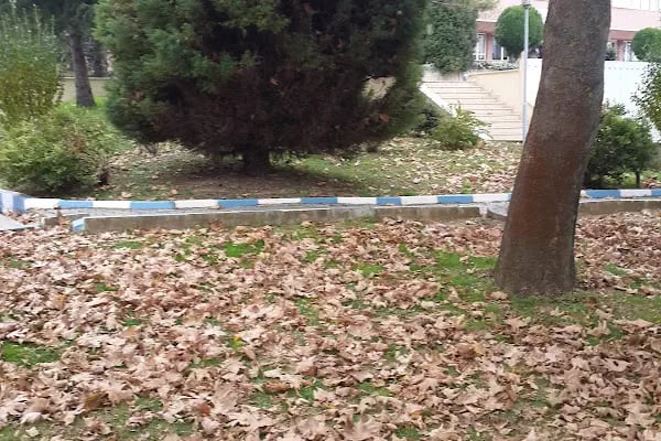 Sakarya Üniversitesi İletişim Fakültesi - Resim 17