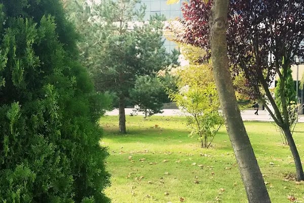Sakarya Üniversitesi İletişim Fakültesi - Resim 9