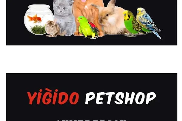 Yunus Akvaryum &amp; Petshop - Resim 13