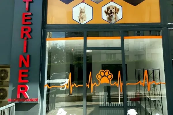 ALVİN 7/24 kedi-köpek ,kuş ve egzotik veteriner kliniği - Resim 3