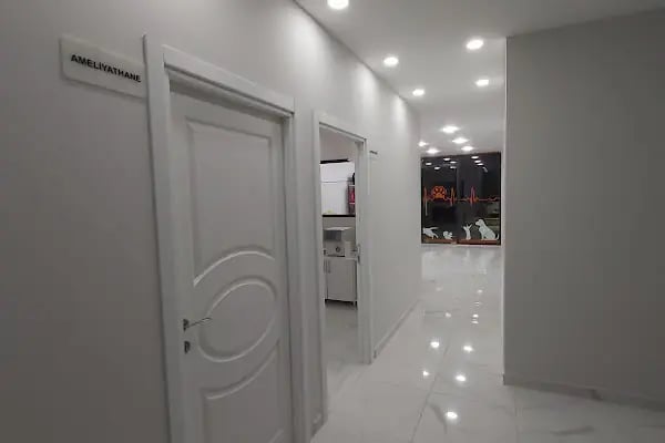 ALVİN 7/24 kedi-köpek ,kuş ve egzotik veteriner kliniği - Resim 4