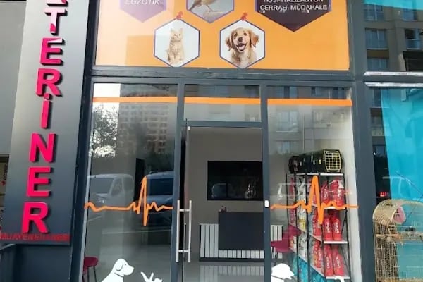 ALVİN 7/24 kedi-köpek ,kuş ve egzotik veteriner kliniği - Resim 1