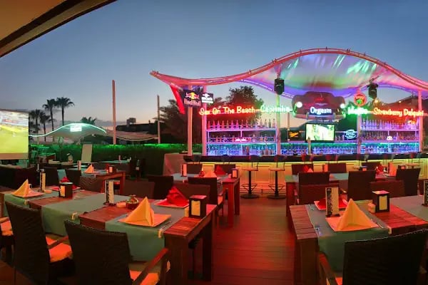 KLEOPATRA NORDİC GARDEN - Resim 2