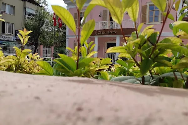 Ziraat Bankası Buca/İzmir Şubesi - Resim 4