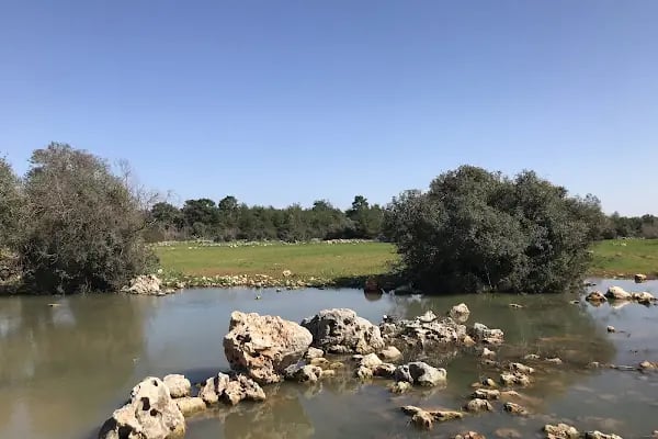 Macun Mahalle Mezarlığı - Resim 2