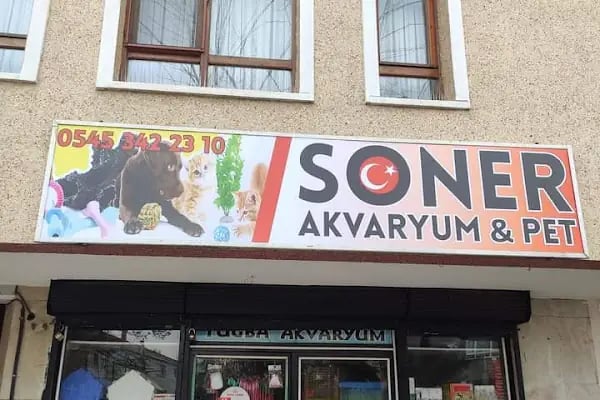 Soner Akvaryum - Resim 9