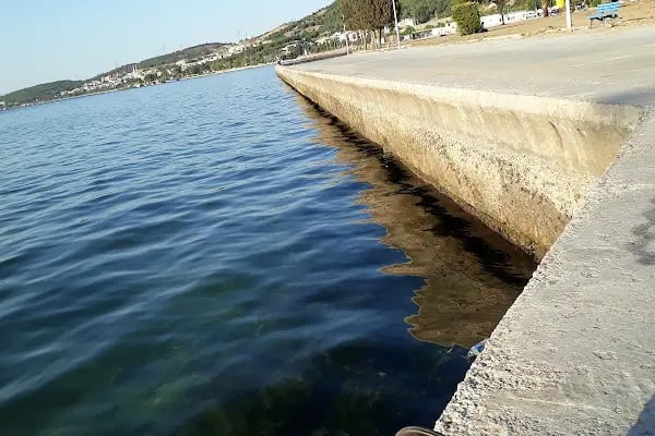 BAKIRÇAY RESTAURANT - Resim 4