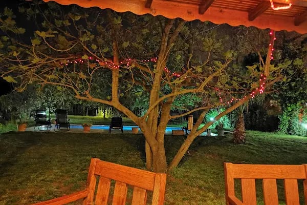 Oykum Hotel Sapanca - Resim 12