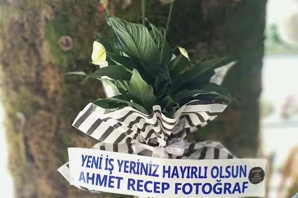 Çiçekçim Çiçek - Çikolata - Organizasyon - Resim 10