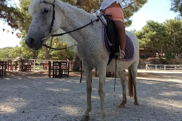 Nallı Bahçe At Çiftliği Kahvaltı & Restaurant - Resim 2