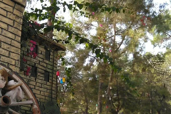 Nallı Bahçe At Çiftliği Kahvaltı & Restaurant - Resim 19