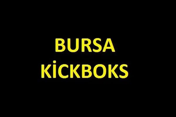 Bursa kickboks - Resim 17