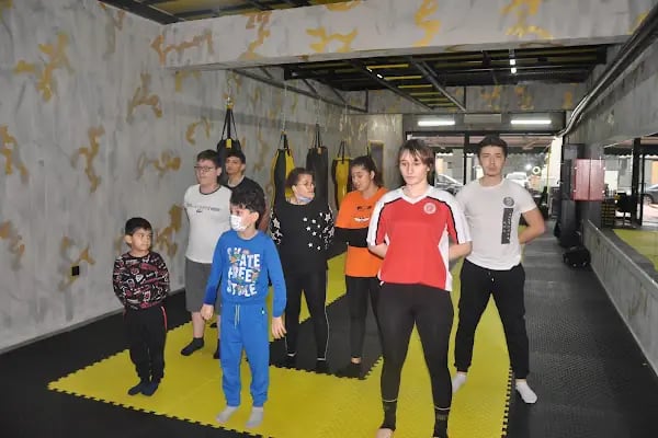 Bursa kickboks - Resim 7