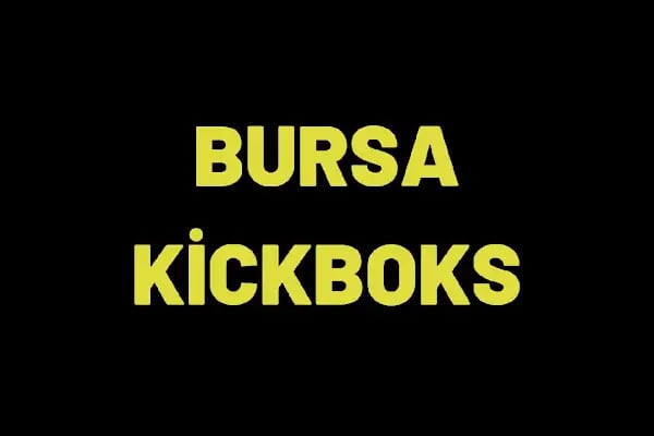Bursa kickboks - Resim 16