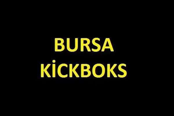 Bursa kickboks - Resim 19