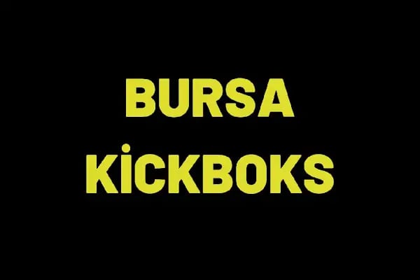 Bursa kickboks - Resim 15