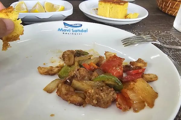 BEYAZ SANDAL BALIKÇISI - Resim 14