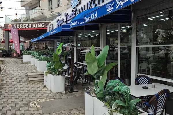 BEYAZ SANDAL BALIKÇISI - Resim 12