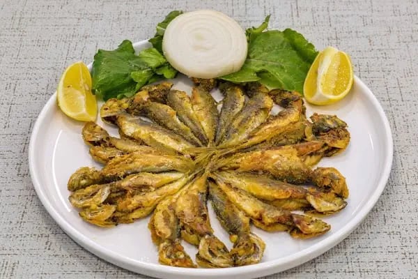 BEYAZ SANDAL BALIKÇISI - Resim 3