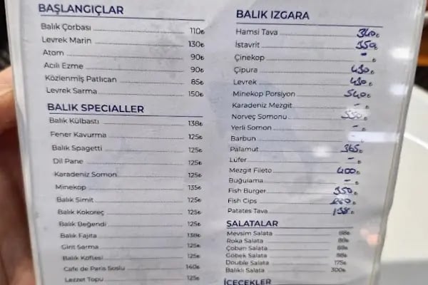 BEYAZ SANDAL BALIKÇISI - Resim 5