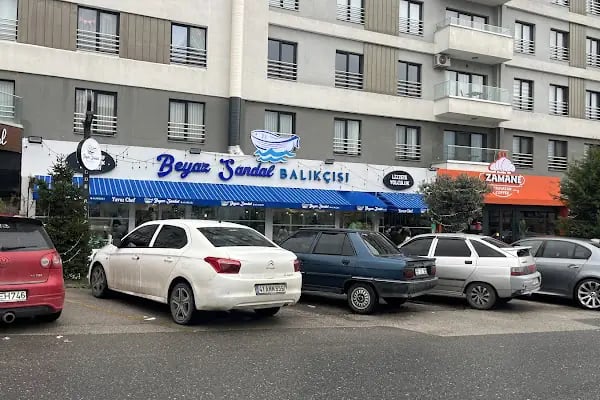 BEYAZ SANDAL BALIKÇISI - Resim 2