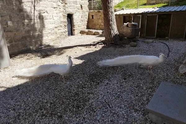 Ersoy 2 Sitesi - Resim 10