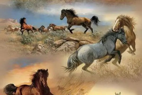 EMEK VETERİNER İSLAHİYE - Resim 18