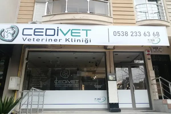 CediVet Veteriner Kliniği - Resim 3