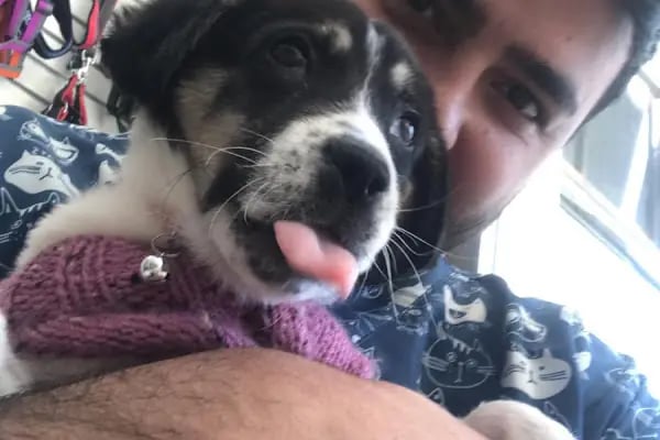 CediVet Veteriner Kliniği - Resim 17