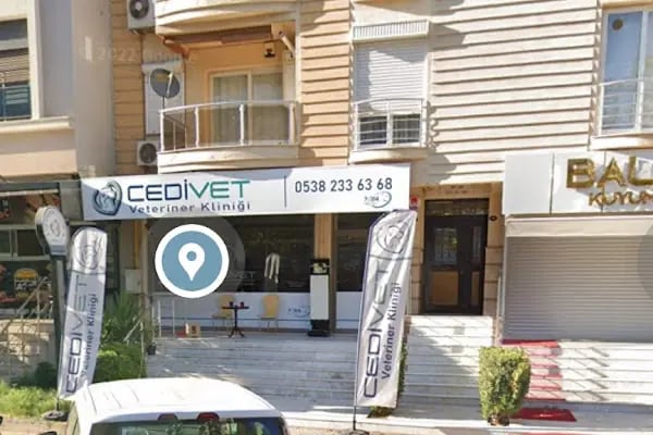 CediVet Veteriner Kliniği - Resim 5