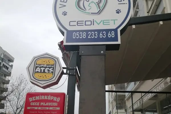 CediVet Veteriner Kliniği - Resim 6