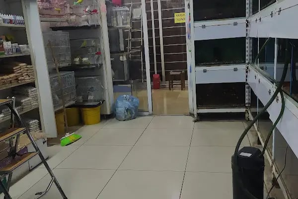 Uğur Akvaryum Ve Kuş Galerisi - Resim 2