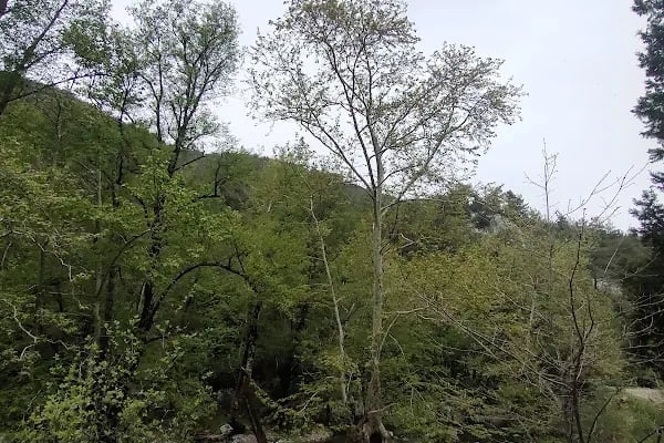 Murtiçi - Resim 18