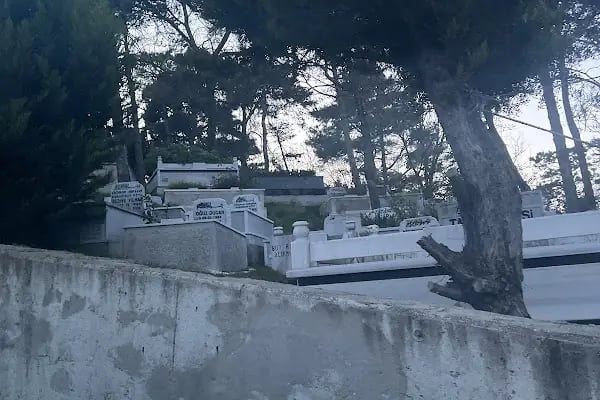 Taşoluk Mezarlığı - Resim 16