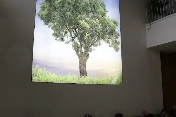 Rommer International Fizik Tedavi ve Rehabilitasyon Tıp Merkezi - Resim 4