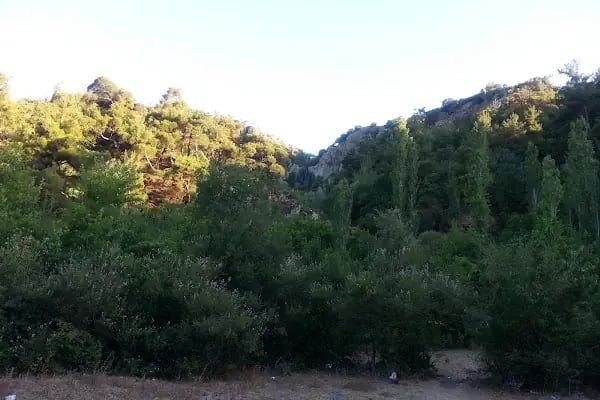Su Uçan Şelalesi - Resim 11