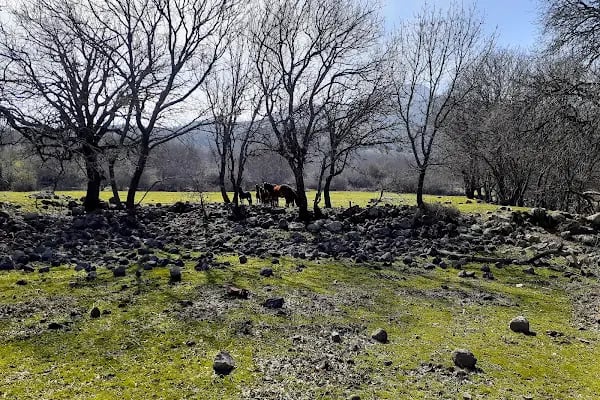 Su Uçan Şelalesi - Resim 13