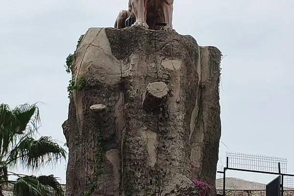 Aslan Park Tuzla - Resim 6