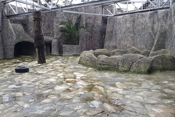 Aslan Park Tuzla - Resim 14