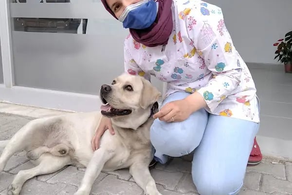Beta Veteriner Muayenehanesi - Resim 5