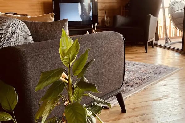 Sapanca Yakamoz Bungalov - Resim 15